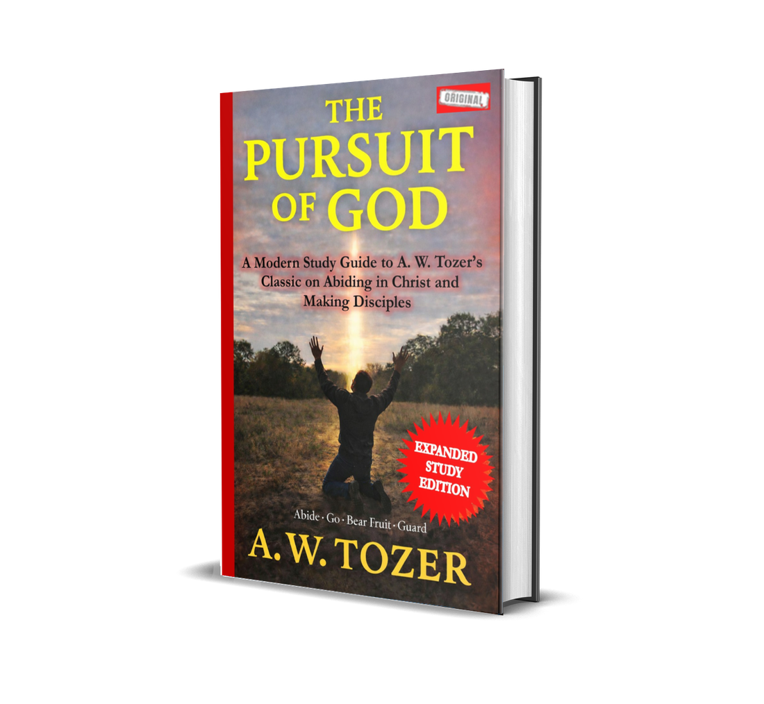 Three-dimensional image of The Pursuit of God expanded study edition